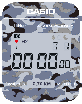 Casio_camuflaje_gris