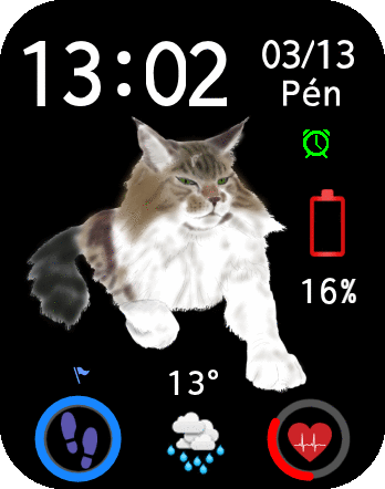 Mainecoon-watchface-2