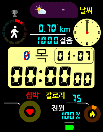 Digital Temp 2 GTS KOR