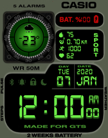 Casio LCD green GTS2