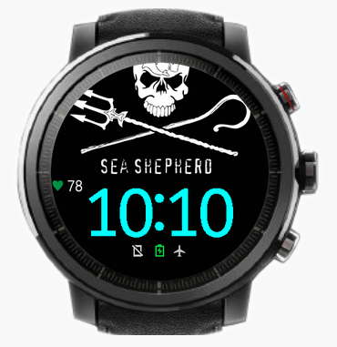 Sea Shepherd - 01 - GTS