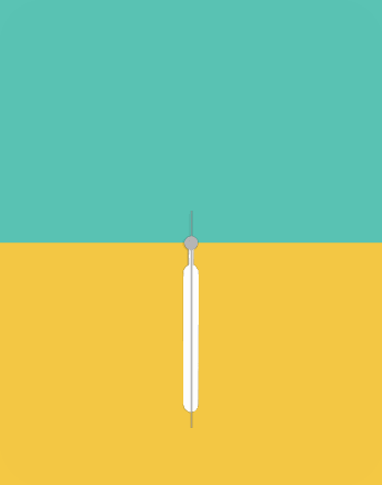 Stripe demo Lemon sea salt