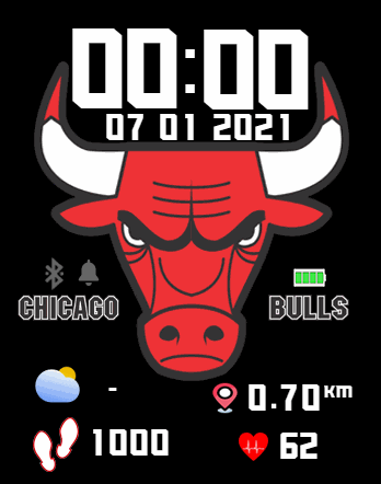 Chicago Bulls