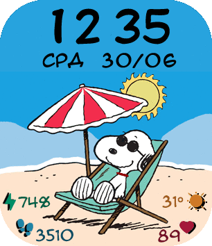Snoopy on the beach