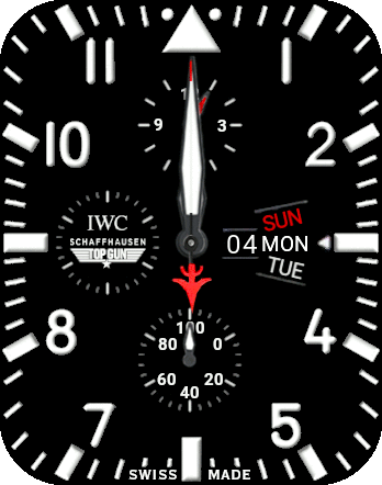 IWC Top Gun