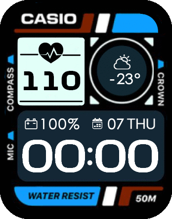 Casio ver.2