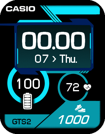 Casio GTS2