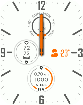 Marine Commander Orange