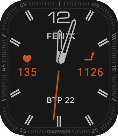 Fenix6s_v2_kostya_ung