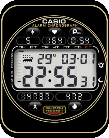 casio_millennium_mod_ru_GTS_2