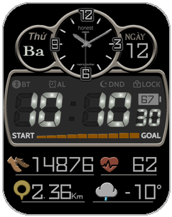 VN_honest_gts_110722224