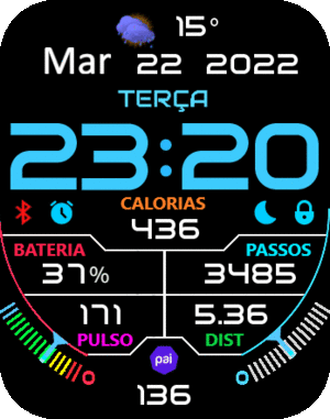 sr-dig1_9_cal_gts2_pt