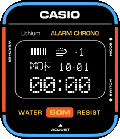 Casio LCD