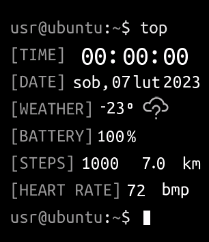 ubuntu terminal