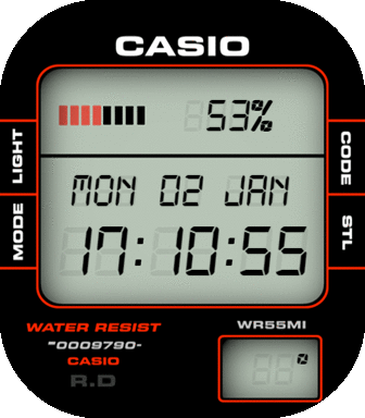 Casio WR55MI