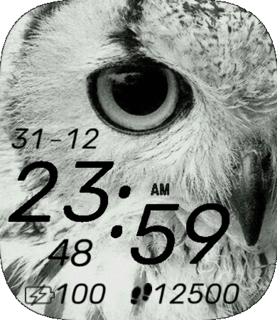 Owl_Eye_one