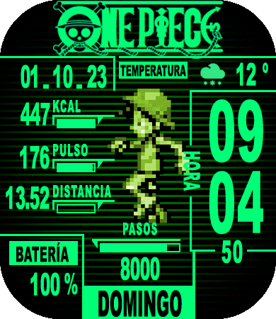 One Piece PiP Boy
