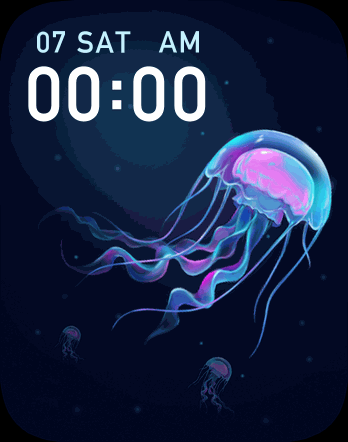 Jellyfish