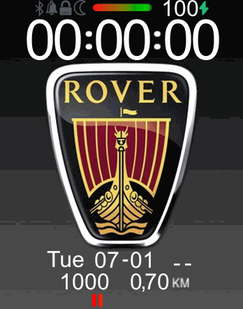 Rover viking tribute