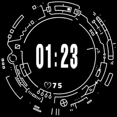 ert61 custom watch face