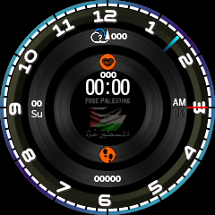 Pray for Palestine_M416