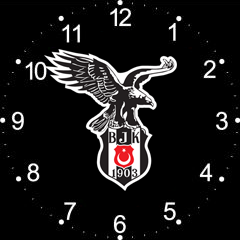 Beşiktaş Tema