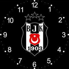 Beşiktaş Teması