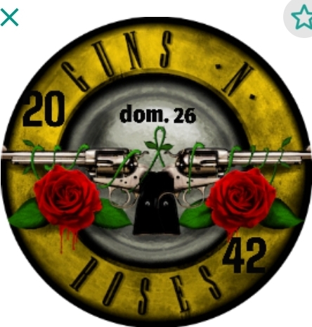 Guns n Roses