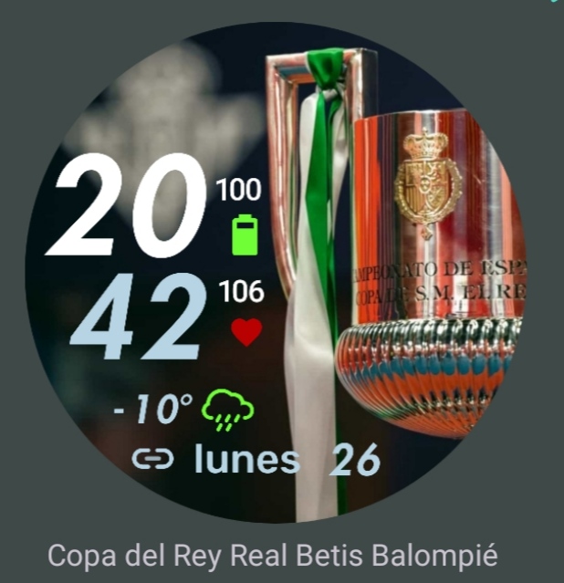 Copa del Rey Real Betis
