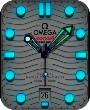 Omega Seamaster  Professional