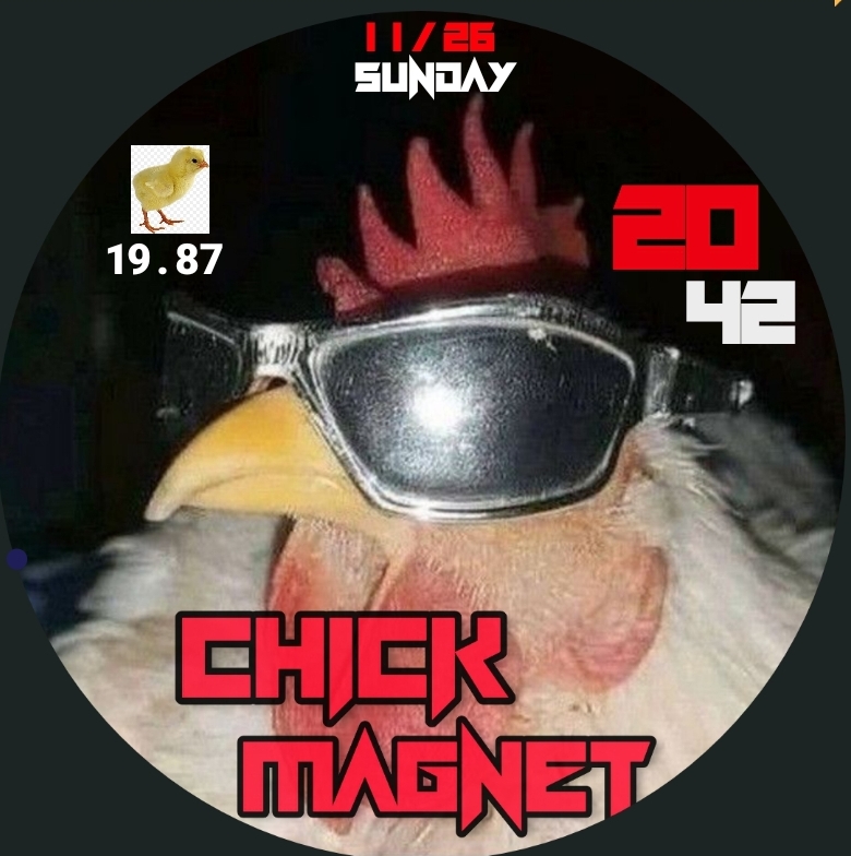 Chick Magnet