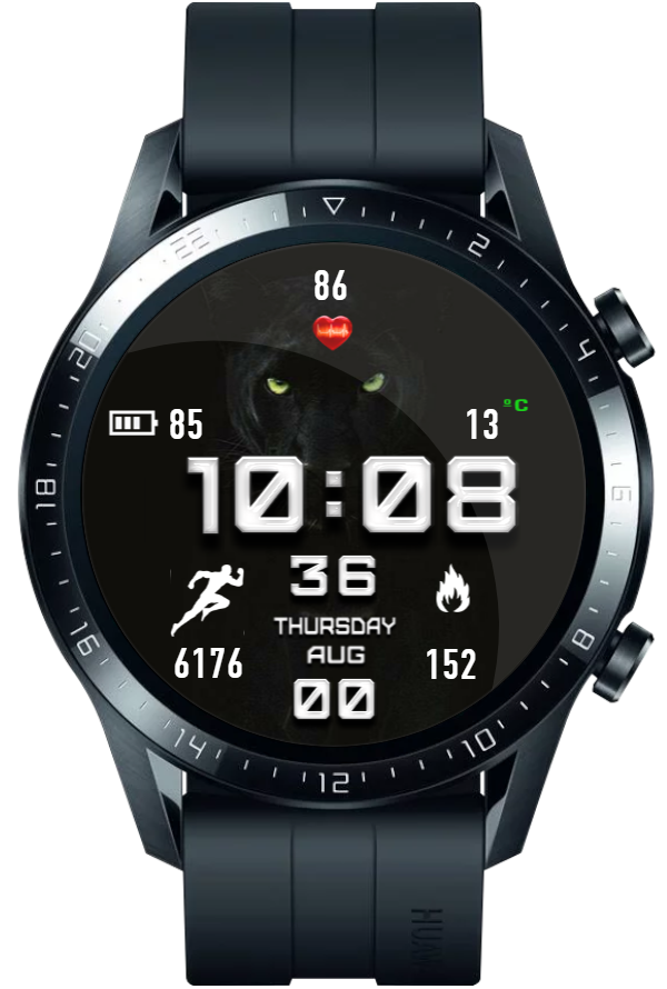 Panther Is Beautiful Black