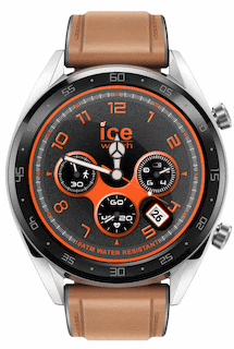 IceWatch