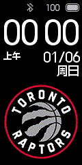 Toronto Raptors
