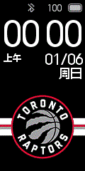 Toronto Raptors 3