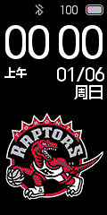 Toronto Raptors 4