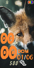 fox_zorro