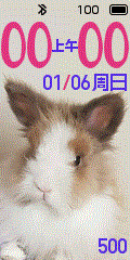 myBunny