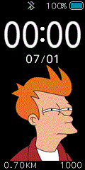 Fry Futurama (Big's)