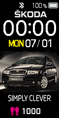 Fabia 1 RS