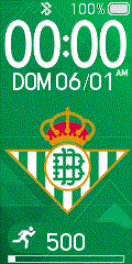 Real Betis Balompie 