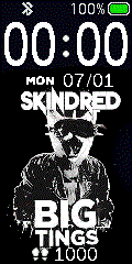 skindred big tings