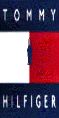 Hilfinger