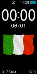 Italian Flag