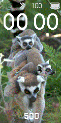 Lemurs