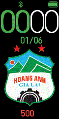 Hoang anh gia lai