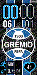 Grêmio FBPA V2