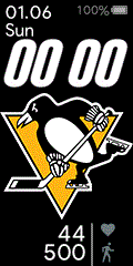 Pittsburgh Penguins Hockey Logo - NHL PIT