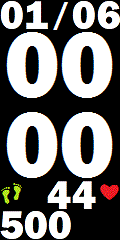 V6_Date_n_Time_With_Pulse_Steps