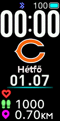 NFL - Chicago Bears